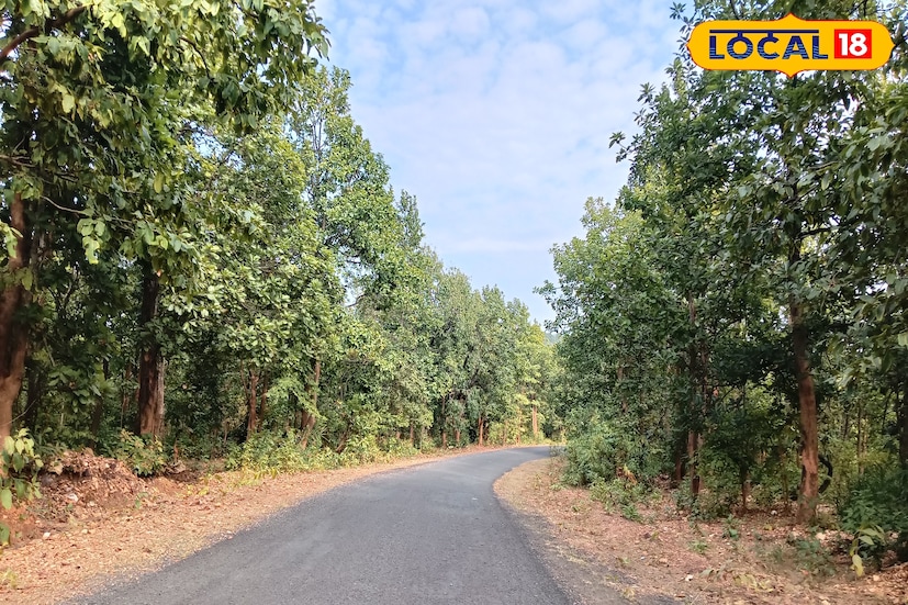 কাঁকড়াঝোড় সরকারি বন বাংলোতে অথবা যে কোন হোমস্টেতে একদিন রাত্রি যাপন করে কাঁকড়াঝোড়ের সকাল ও সন্ধ্যার মনোরম পরিবেশের উপভোগ করার পাশাপাশি। পায়ে হেটে গিয়ে কিছুক্ষণ সময় হরিণঘেরাতে কাটানো যেতে পারে। নেটিজেনদের কাছে এই জায়গাটা খুবই জনপ্রিয় হবে তার কারণ ফটোশুটের জন্য প্রকৃতি তার সুন্দর্যের ডালি সাজিয়ে রেখেছে।