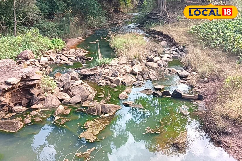 কাঁকড়াঝোড় থেকে চাকাডোবা যাওয়ার রাস্তা ধরে কিছুটা এগোলেই ডান দিকে চলে যাচ্ছে একটি মোরাম রাস্তা। সে রাস্তা ধরে কিছুটা এগোলেই সামনে পড়বে ছোট্ট একটি খাল। ছোট ছোট পাথরের উপর দিয়ে বয়ে যাচ্ছে হালকা সবুজ আভার জল। আর সামনে দাঁড়িয়ে রয়েছে পলাশ ও শিমুলের গাছ। এক অপূর্ব সৌন্দর্য সৃষ্টি করে রয়েছে এই জায়গাটি। যা স্থানীয় মানুষজনের কাছে 