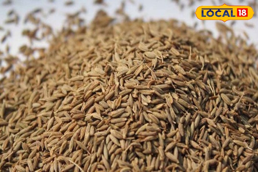 কীভাবে নকল এই জিরে কেন যায়, এফএসএসএআই-এর পক্ষ থেকেই তার পরামর্শ দেওয়া হয়েছে৷ বলা হয়েছে, গোটা জিরে কেনার সময় হাতে নিয়ে ভাল করতে ডলতে হবে৷ 