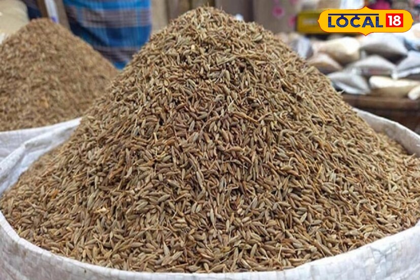 কিন্তু কীভাবে তৈরি করা হত এই নকল জিরে? পুলিশ সূত্রে খবর, পাথরের কুচি, সুজি এবং ঘাস বেঁটে এই এই নকল জিরে তৈরি করা হত৷ আসল জিরের সঙ্গে এই ভেজাল জিরে মিশিয়ে দিলে কোনটা আসল কোনটা নকল বোঝাই মুশকিল৷ 