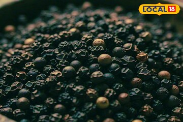 খালি পেটে এক চিমটে গোলমরিচ খান এই নিয়মে! বসে বসে ওজন ঝরবে, বহু রোগ দূর হবে!