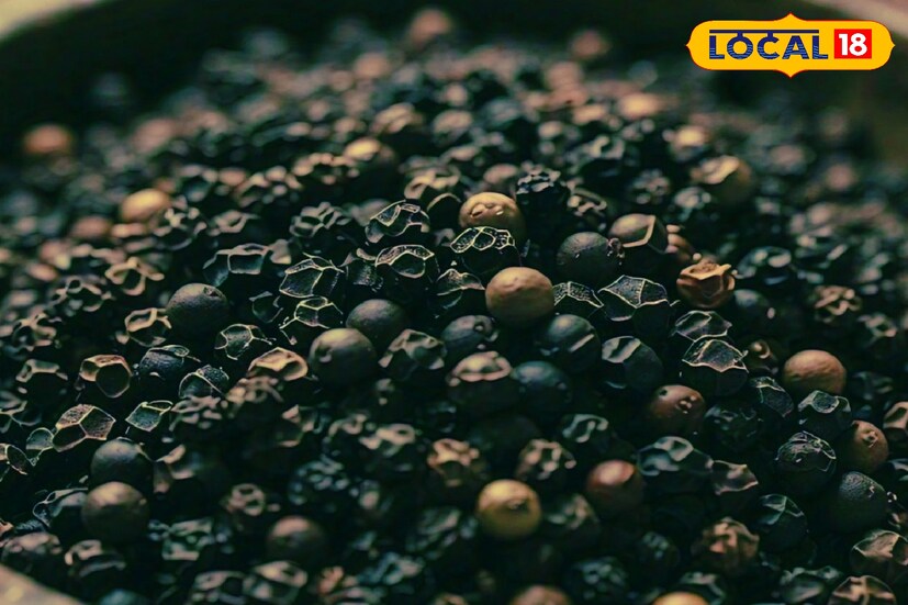 ফাস্টফুডের মধ্যে সামান্য গোলমরিচের গুঁড়ো না দিলে খাওয়ার স্বাদ বেড়ে ওঠে না। এছাড়াও রোগ প্রতিরোধ করার ক্ষেত্রেও গোলমরিচের ভূমিকা রয়েছে অনেকখানি।