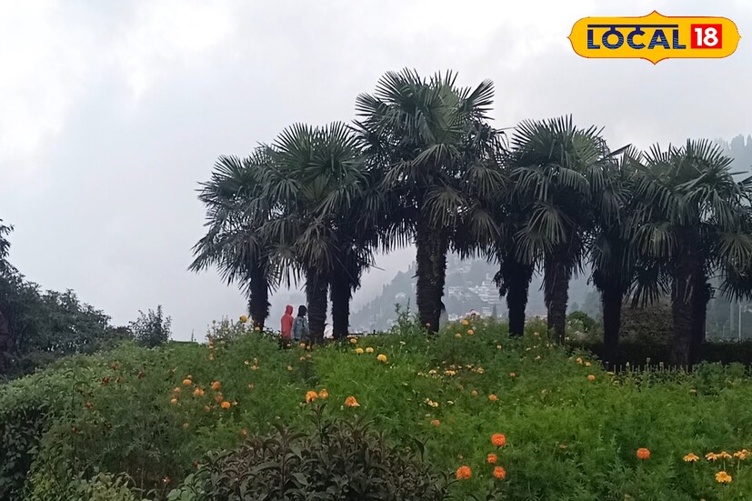 শুক্রবার শৈলশহর দার্জিলিংয়ে হাড় কাঁপানো ঠান্ডার সঙ্গে ঘন কুয়াশা। উত্তরের পাঁচ জেলাতেই শীতের দাপট। কুয়াশাচ্ছন্ন আকাশ চারিদিকে। বছরের শেষ উইকেন্ডেই তুষারপাতের সম্ভাবনা শৈলশহর দার্জিলিংয়ে । ইতিমধ্যে পারদ নামতে শুরু করেছে পাহাড় থেকে শুরু করে সমতল সব জায়গাতে। হাড়কাঁপানো শীতে কাঁপছে গোটা উত্তরবঙ্গ।