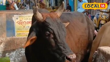 ক্ষ্যাপা