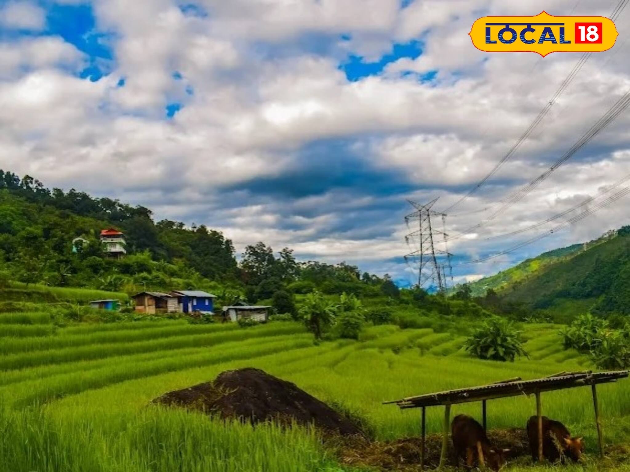 উত্তরবঙ্গের নতুন আবিষ্কার- পাহাড়ের কোলে কমলালেবুর গ্রাম! কী ভাবে যাবেন?
