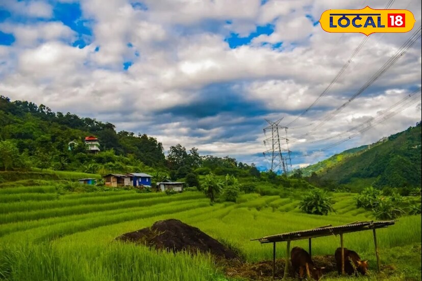 একেবারেই অফবিট জায়গা এটি। এই ভ্যালির পাশ দিয়েই বয়ে গিয়েছে রঙ্গিত নদী। এখানে একেবারে অরগ্যানিক পরিবেশে থাকতে পারবেন। নেই কোনও দূষণ। 
