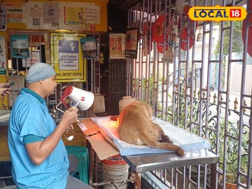 হাসপাতালে