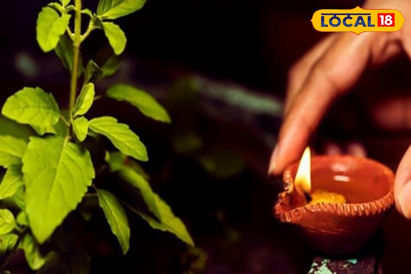 বাড়ির উত্তর-পূর্ব কোণে একটি সবুজ তুলসী গাছ লাগিয়ে প্রতি সন্ধ্যায় তুলসী তলায় ঘি-এর প্রদীপ জ্বালান। তুলসীকে দেবী লক্ষ্মীর রূপ মনে করা হয়। নিয়মিত তুলসী তলায় প্রদীপ জ্বালালে ঘরে সুখ, শান্তি আসে।