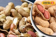 বাদাম, পুষ্টিতে ভরপুর খাবার! তবে সবার জন্য নয়! কাদের খাওয়া উচিত নয় জানেন?