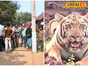 Purulia News: জিনাতকে লক্ষ্য করে ঘুম পাড়ানি গুলি, তবে কি এবার ধরা পড়বে বাঘিনী!