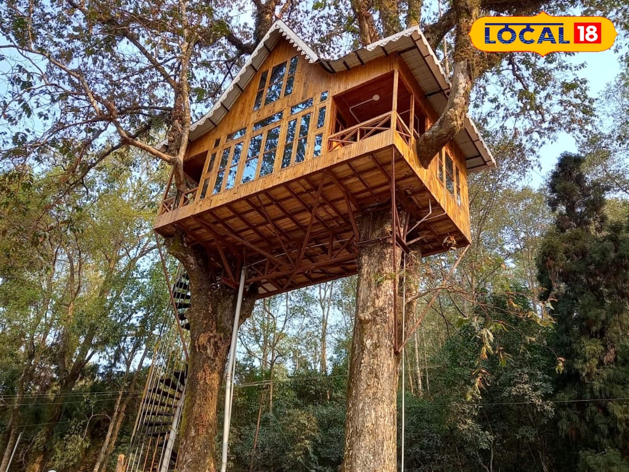 পাহাড়ের মাঝে গাছ বাড়িতে থাকতে চান? সস্তায় দারুণ জায়গা! জানুন