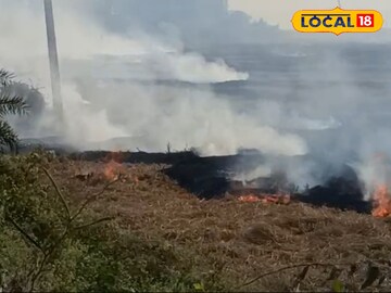 মাঠে মাঠে