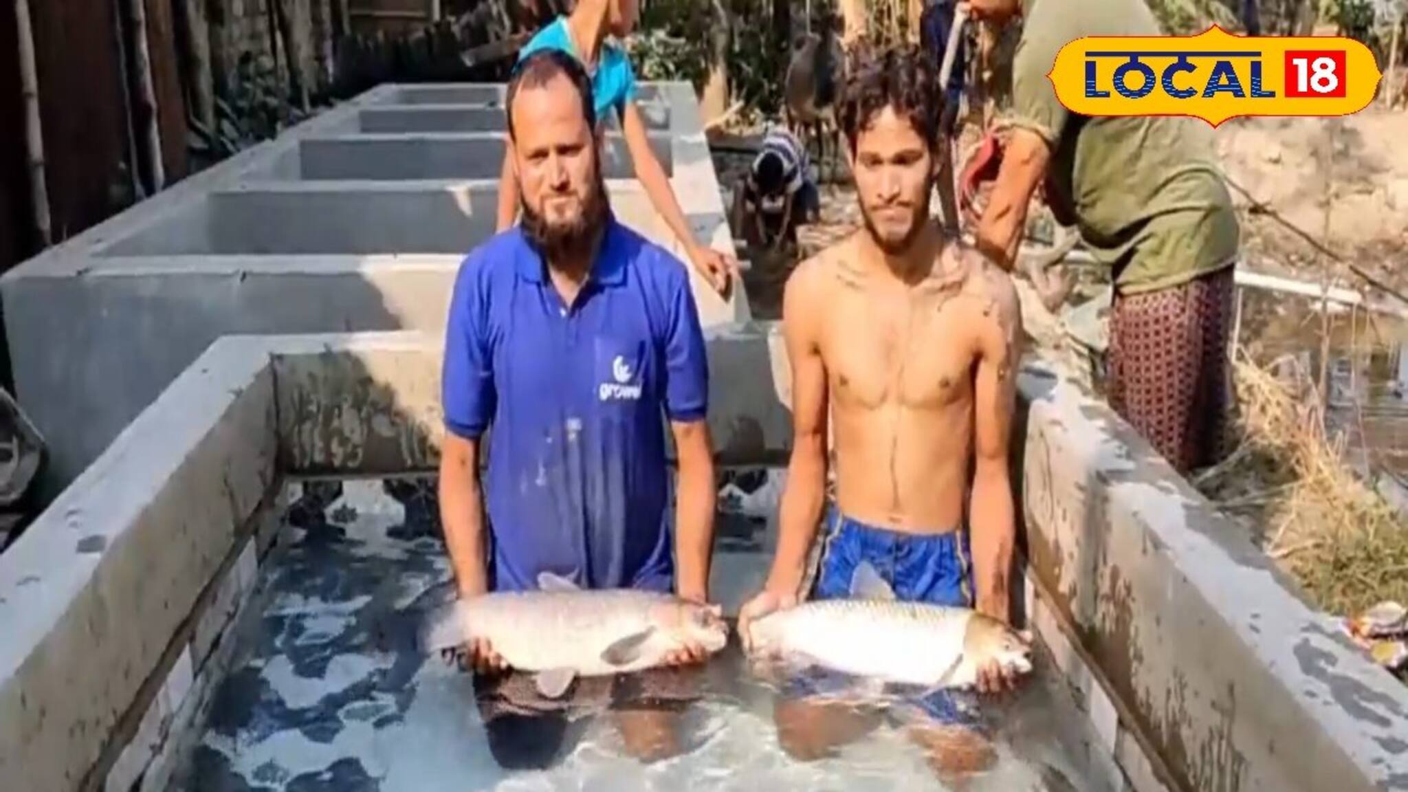 শীতকালে মাছ আক্রান্ত হয় এই রোগে! সামান্য উপকরণেই হবে সমাধান! রইল টিপস