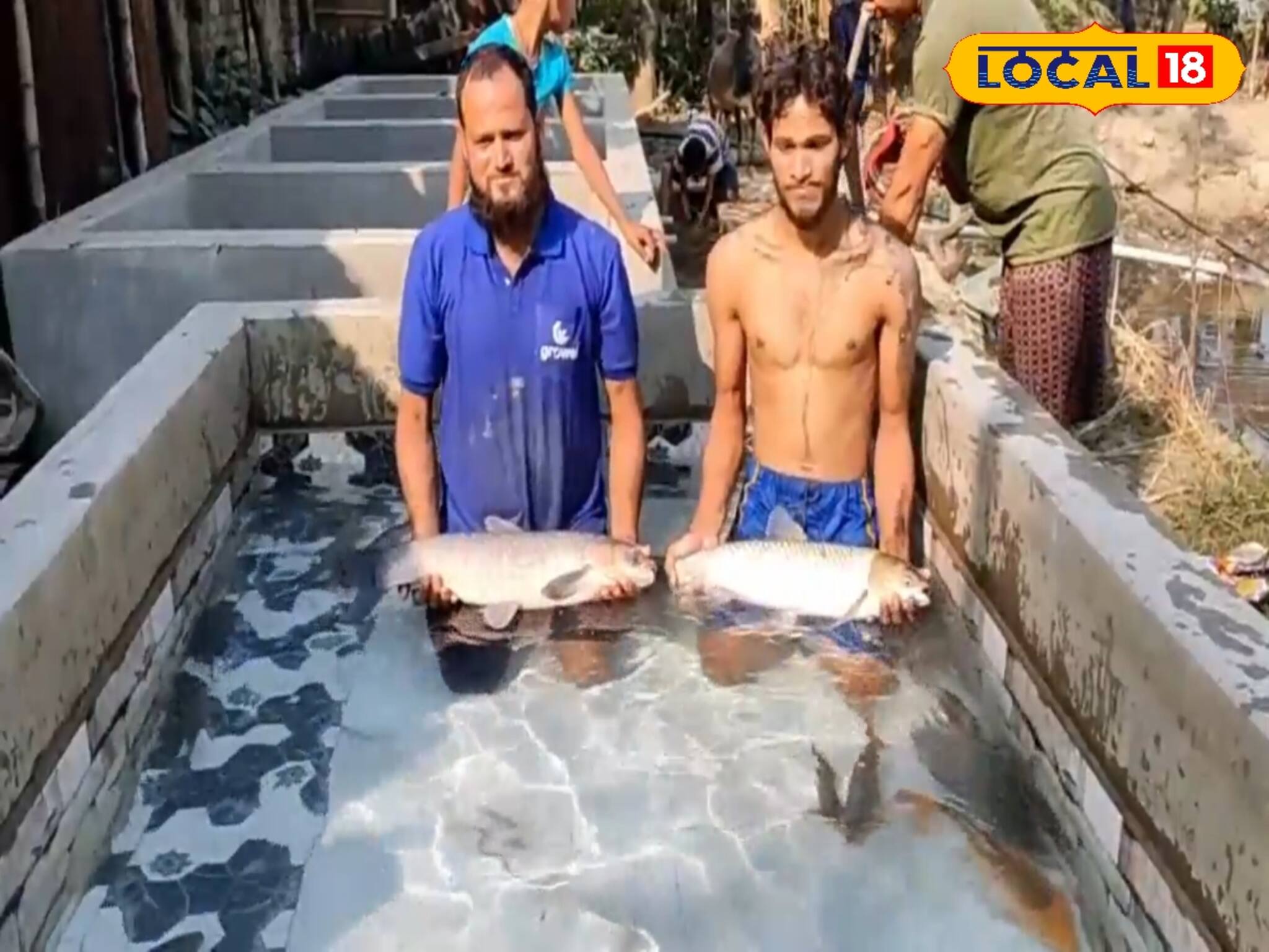 শীতকালে মাছ আক্রান্ত হয় এই রোগে! সামান্য উপকরণেই হবে সমাধান! রইল টিপস