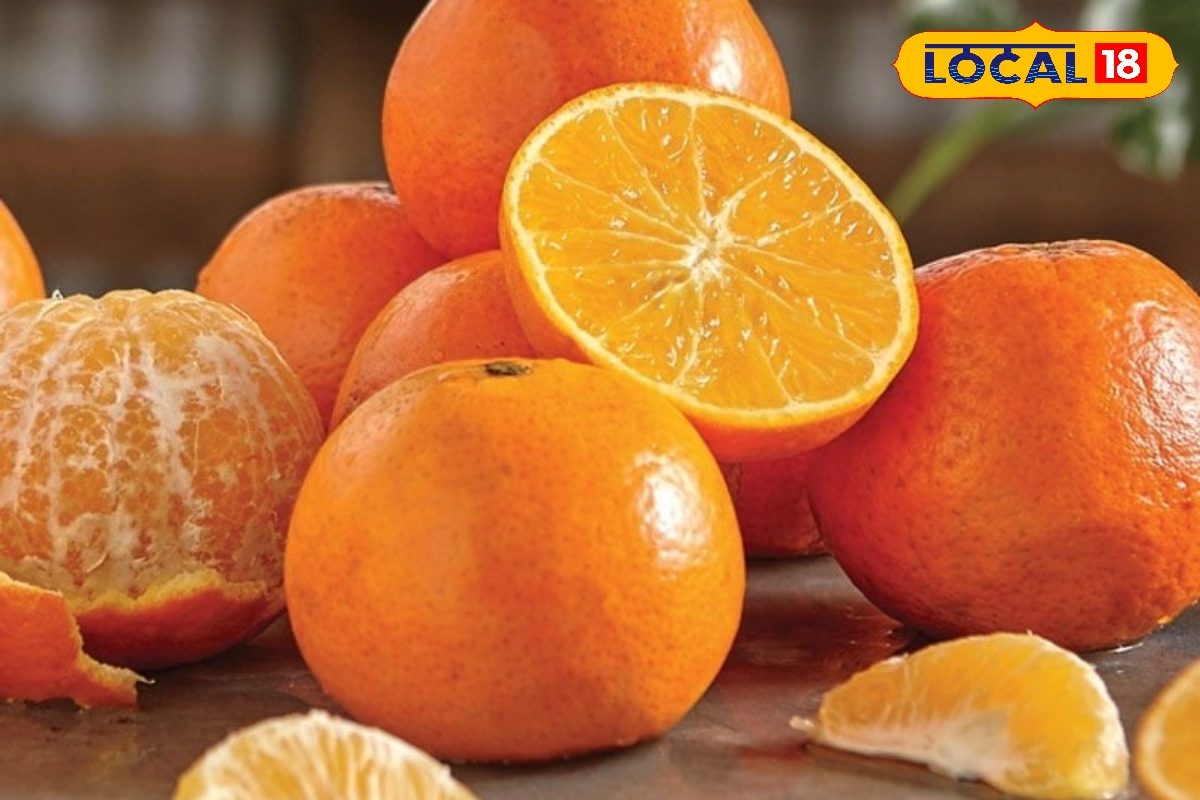 Orange Health Benefits: ক্যানসার থেকে পেটের রোগ দূর করে! যৌবন ধরে রাখে কমলালেবু! জানুন চিকিৎসকের মত