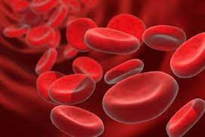 Blood Group: A, B, AB, O…! জানেন কোন ‘ব্লাড গ্ৰুপে’ হার্ট অ্যাটাকের ‘ঝুঁকি’? কোনটিতে ডায়াবেটিস? দেখে নিন তালিকা Blood Group: A, B, AB, O…! জানেন কোন ‘ব্লাড গ্ৰুপে’ হার্ট অ্যাটাকের ‘ঝুঁকি’? কোনটিতে ডায়াবেটিস? দেখে নিন তালিকা