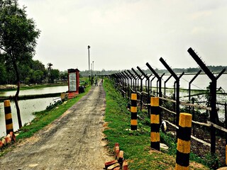 কবে ফেরানো হবে সোনালিকে?