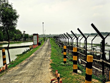 কবে ফেরানো হবে সোনালিকে?