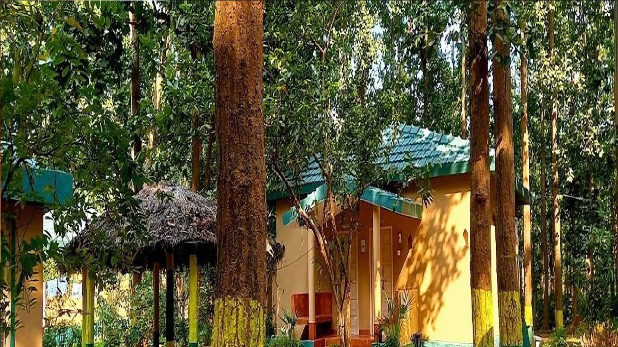 Jhargram Trip: গভীর শালের জঙ্গলে রাত্রিযাপন, বড়দিনে ডেস্টিনেশন হোক লোধাশুলির এই রিসর্ট