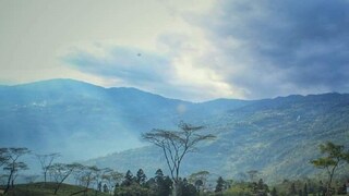 চা বাগানে রাজনৈতিক জমি শক্ত করতে কৌশল তৃণমূলের চা বাগানে রাজনৈতিক জমি শক্ত করতে কৌশল তৃণমূলের