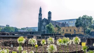 প্রতীকী ছবি