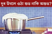 গ‍্যাসে দুধ বসালে রোজই উথলে পড়ছে বাইরে! বাস্তুমতে শুভ নাকি অশুভ?