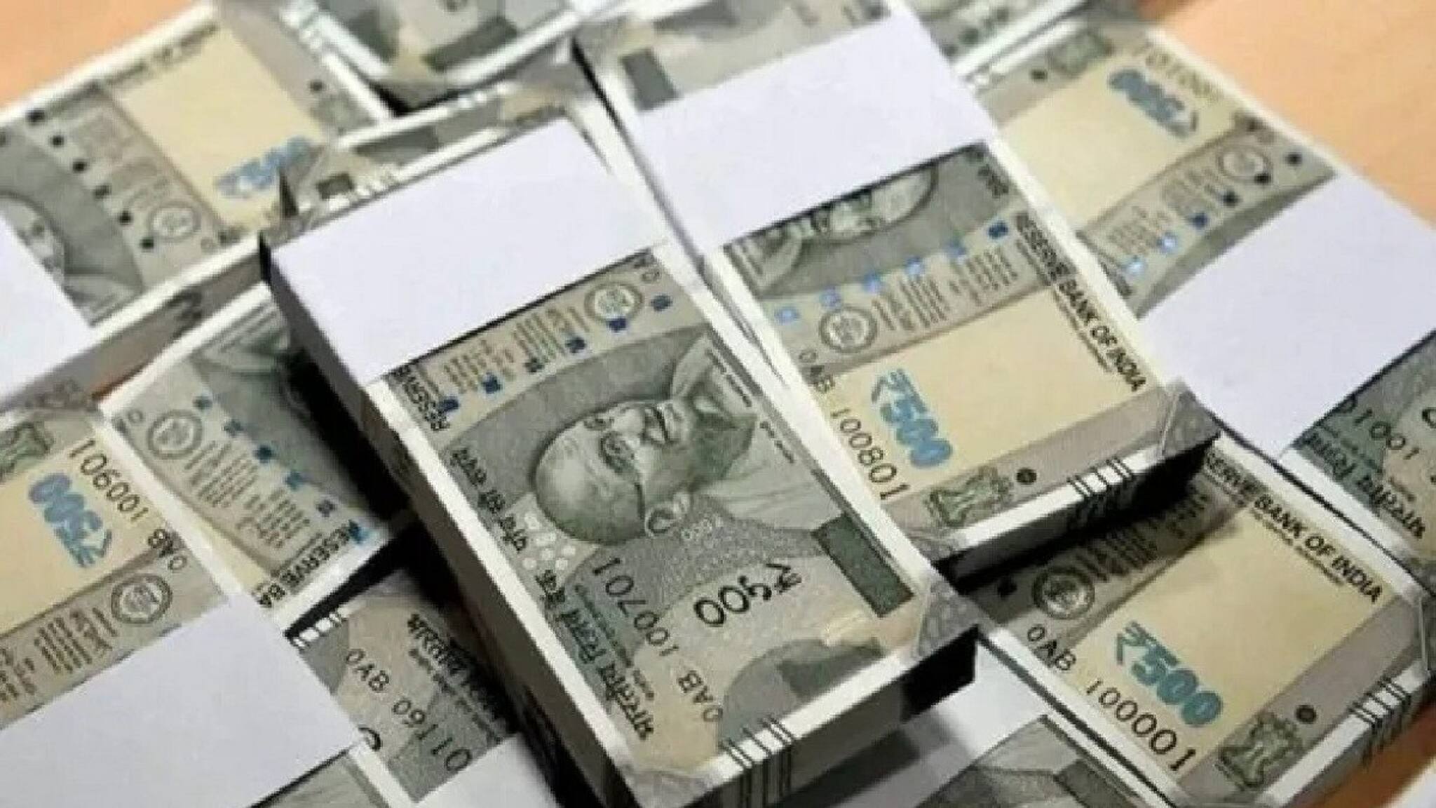 Money making tips: ফুল নয় যেন টাকার গাছ! টাকা রোজগার করতে টবেই লাগিয়ে ফেলুন এই গাছ