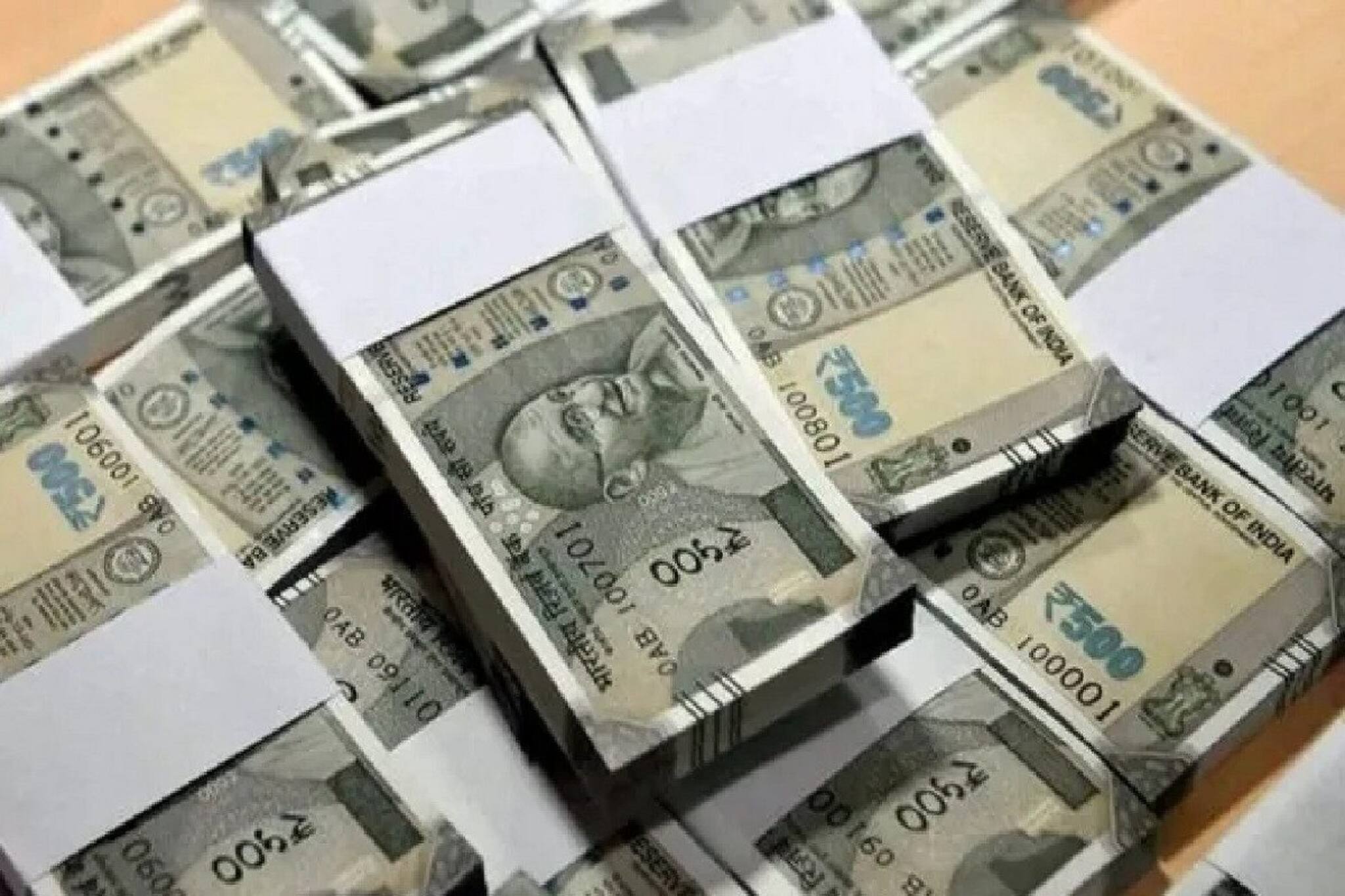 ফুল নয় যেন টাকার গাছ! টাকা রোজগার করতে সব ছেড়ে লাগিয়ে ফেলুন এই গাছ