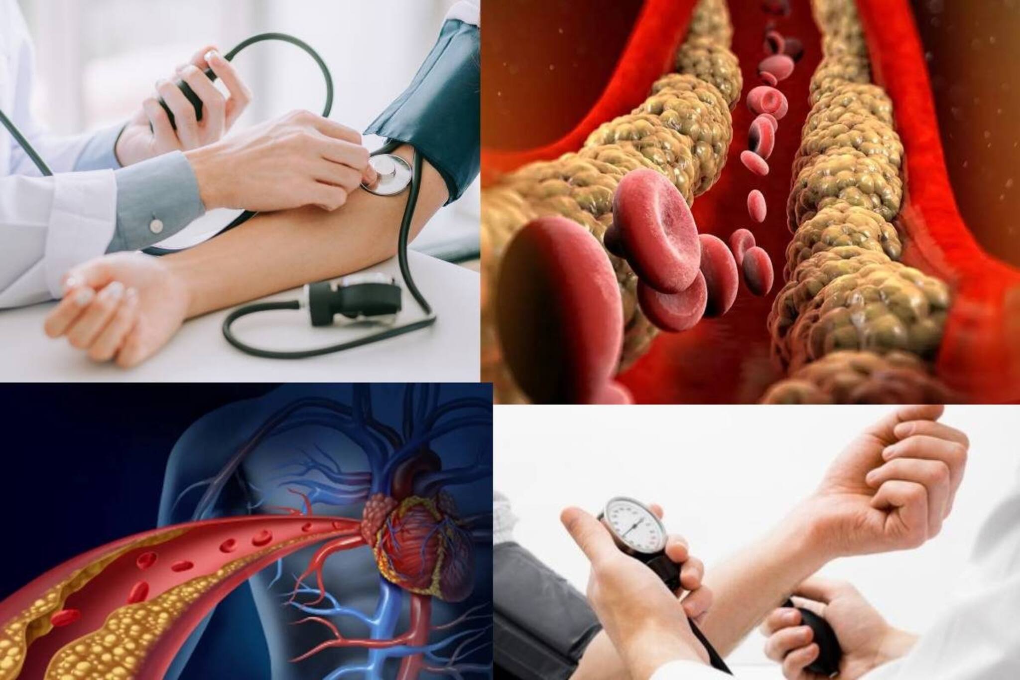 ছোট্ট কাজেই কেল্লা ফতে! শীতেও বাড়বে না ব্লাড প্রেশার! বিপদ এড়িয়ে সুস্থ হার্টও