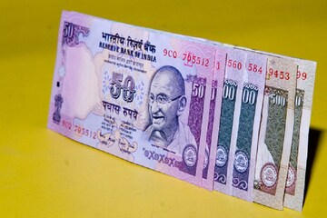 Business News: চারা গাছ লাগালেই টাকার বন্যা! ৫-৬৪০ গাছ রোপণ করে উপার্জন