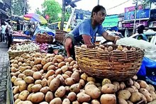 আলুর দামে হাতে ছ্যাঁকা! কবে কমবে দাম? রইল তথ্য
