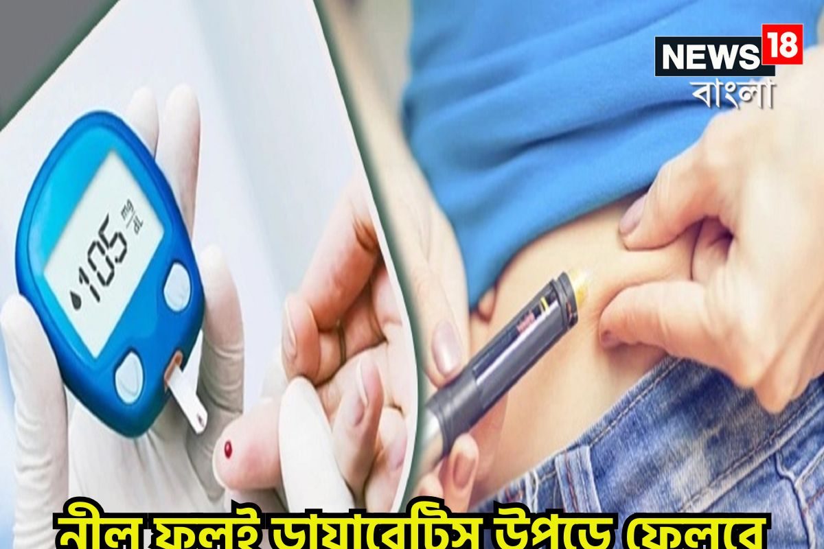 High Blood Sugar Control Tips: ডায়াবেটিস ক্লিন বোল্ড! একটি নীলফুলেই সুগারের দফারফা, শরীর থেকে শুষে নেবে, উপড়ে ফেলবে গোড়া থেকে