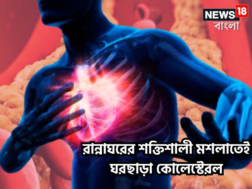 কোলেস্টেরল এমনই একটি রোগ যার প্রধান বিষয় হল, খারাপ খাবার দাবার, ঘুম কম বা খারাপ লাইফস্টাইল এমন সময়েই শরীরকে ছেঁকে ধরে খারাপ কোলেস্টেরল ৷ প্রতীকী ছবি ৷