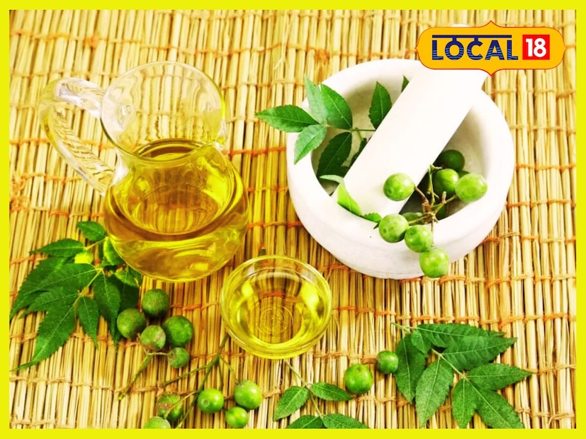 Disclaimer: উপরোক্ত বিষয়গুলি মানতে নিউজ ১৮ বাংলা বাধ্য বা অনুরোধ করেনা, ব্যবহারিক প্রয়োগের আগে চিকিৎসকের পরামর্শ আবশ্যিক ৷ প্রতীকী ছবি ৷
