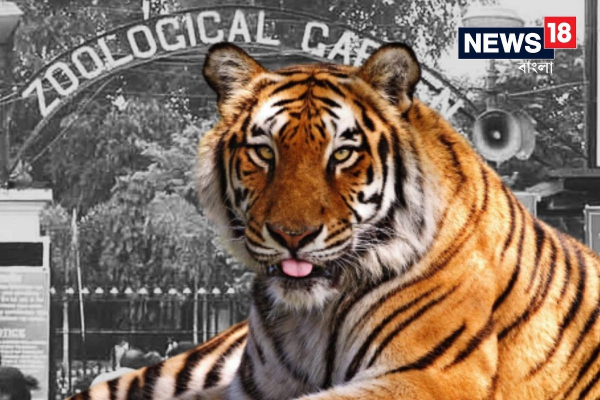 গ্রিন করিডর করে রাতেই আলিপুরে! কেমন আছে জিনাত, 'ঘরে' ফিরবে কবে?