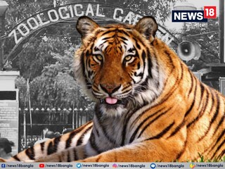 আলিপুর চিড়িয়াখানায় আনা হল জিনাতকে৷ প্রতীকী ছবি