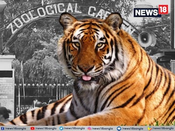 আলিপুর চিড়িয়াখানায় আনা হল জিনাতকে৷ প্রতীকী ছবি