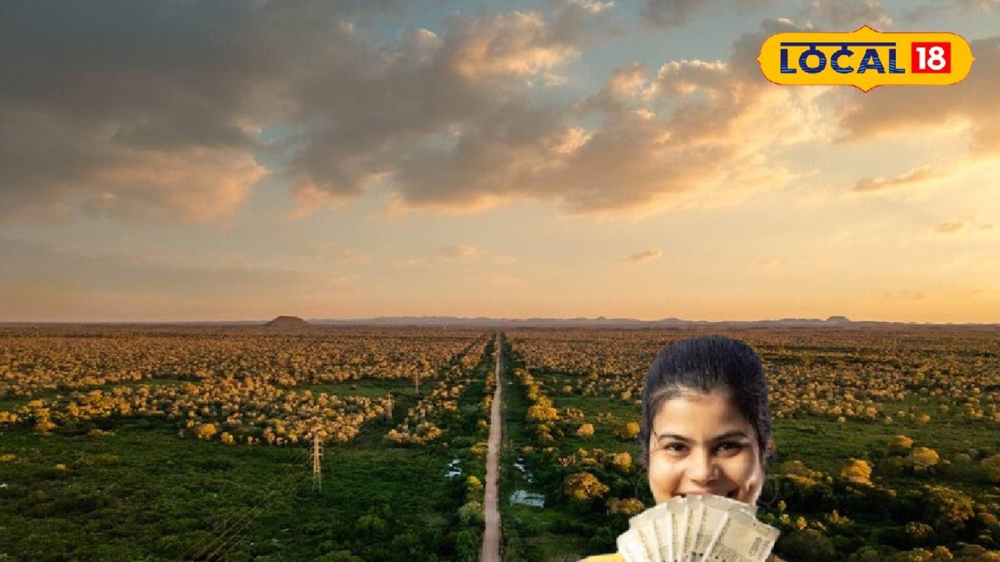 খরচ, খাটনি দুটোই কম! কিন্তু লাভ অবাক করা, এই একটি ফুলের চাষই করে দেবে লাইফ সেট