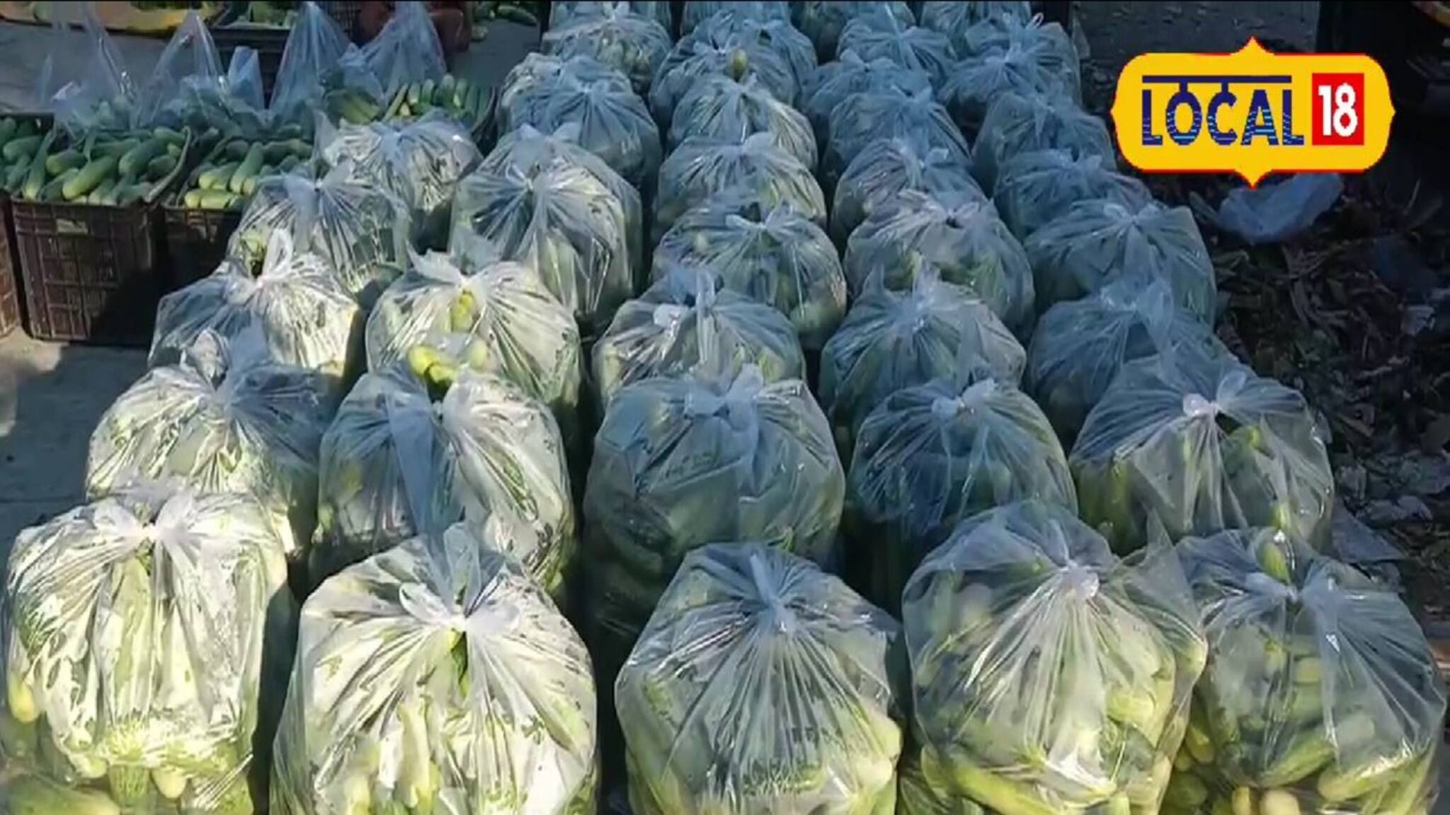 লাভের মুখ দেখছেন চাষিরা, এই একটি ফসলেই গোছা গোছা টাকা ঢুকছে পকেটে