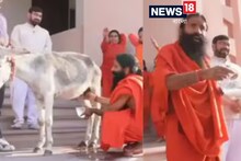 প্রথমবারের জন্য গাধার দুধ খেলেন রামদেব, তারপর যা বললেন...