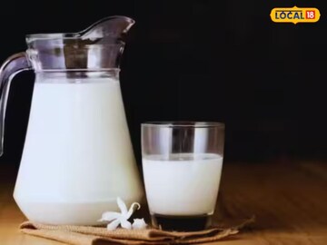 গরু মোষের দুধ ভুলে যান! এই প্রাণীর দুধের পুষ্ঠিগুনের ধারে কাছে কিছু নেই