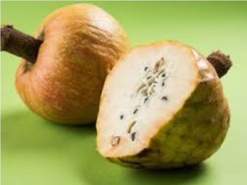 এটি আপনার শরীরের ভারসাম্য আনার জন্য দুর্দান্ত। রামফল খেলে রক্তে শর্করার মাত্রা এবং হার্টের স্বাস্থ্য সবই ফিট থাকে। রামফলের অ্যান্টিঅক্সিডেন্ট এবং ভিটামিন প্রদাহ নিরাময়ে কার্যকর। এই ফল খেলে পেট সংক্রান্ত সমস্যাও দূর হয়। হজমশক্তি সুস্থ থাকে।