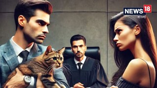 স্বামী শুধু বিড়ালকেই ভালবাসে! রাগে আদালতে ডিভোর্সের আবেদন স্ত্রী-এর AI Image