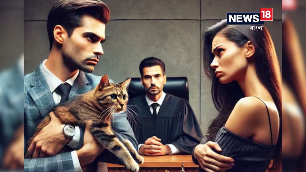man only loves his cat wife becomes angry and files divorce