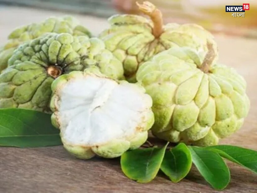 শুধু তাই নয়, এই ফল হজম প্রক্রিয়াকেও চাঙ্গা করতে পারে। আতায় থাকে ভরপুর ফাইবার। আতা খেলে কোষ্ঠকাঠিন্য ও ডায়ারিয়ার মতো সমস্যা একেবারে নির্মূল হয়ে যায়।
