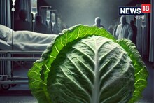 বিষাক্ত বাধাকপি খেয়ে ভয়ঙ্কর অসুস্থ হয়ে পড়ল যুবতী! ৮ দিন লড়াই-এর পর যা হল...
