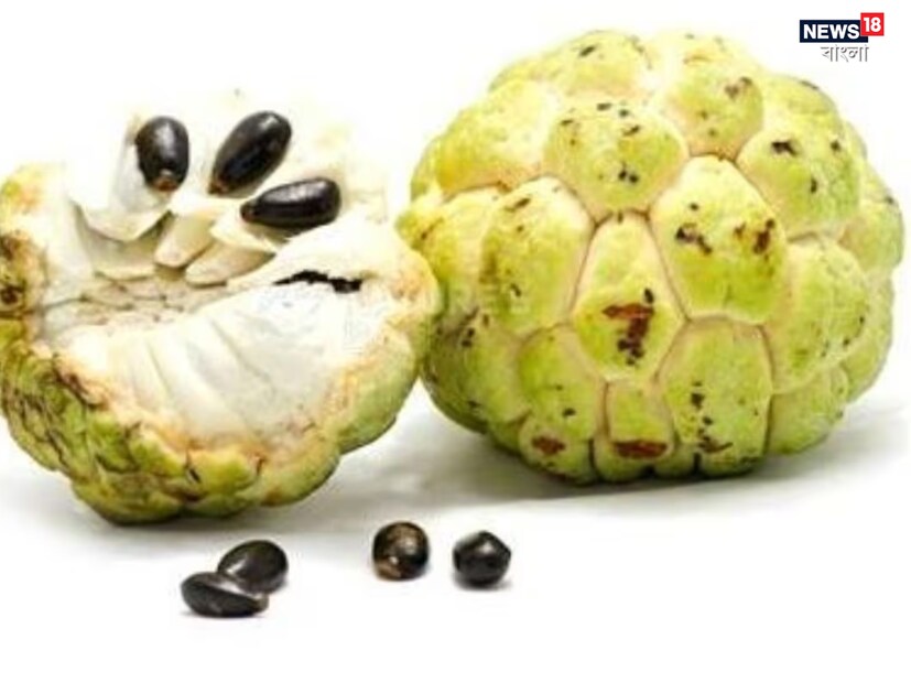 একসময় আম, জাম, কাঁঠালের মতোই আতা ছিল বাঙালির অন্যতম পছন্দের ফল৷ পাড়ায় কারও না কারও বাড়ি আতা গাছ থাকতই৷ এখন দোকান ছাড়া আতা প্রায় পাওয়া যায় না বললেও চলে৷ চাহিদাও কমেছে অনেক৷ 