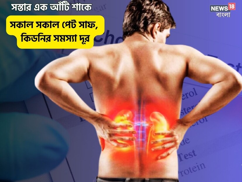 শাক তো আমরা সকলেই খাই, তবে এই শাক ভাজা হোক বা চচ্চড়ি হোক, এই শাক খেলে কিডনির রোগ দূর হবে, কোষ্ঠকাঠিন্য পালাবে৷