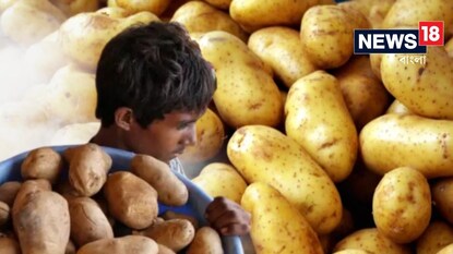 সর্বনাশ, আলু নেই! ২০২৫ সালে কী খাবেন? পুরনো আলুতে কত দিন চালাতে হবে, জেনে নিন! সর্বনাশ, আলু নেই! ২০২৫ সালে কী খাবেন? পুরনো আলুতে কত দিন চালাতে হবে, জেনে নিন!