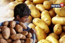 সর্বনাশ, আলু নেই! ২০২৫ সালে কী খাবেন? পুরনো আলুতে কত দিন চালাতে হবে, জেনে নিন!